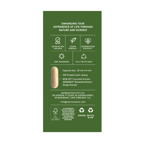 NATROCEUTICS - CURCUMIN FORTIFIED 60 CAPSULES