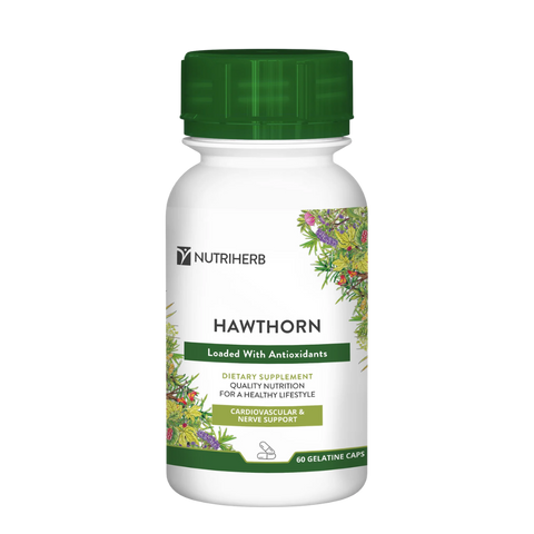 NUTRIHERB - HAWTHORN 60 CAPSULES