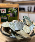 JENTY TRADING - ORGANIC SOURSOP LEAVES