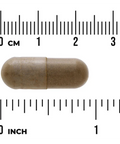 SWANSON GOTU KOLA 435 mg 60 CAPSULES